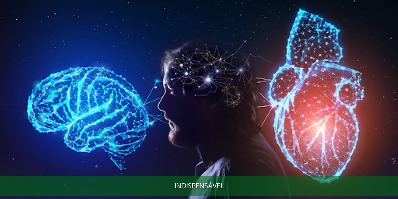 Figura 3 - INTELIGÊNCIA EMOCIONAL. HABILIDADE INDISPENSÁVEL PARA O SUCESSO